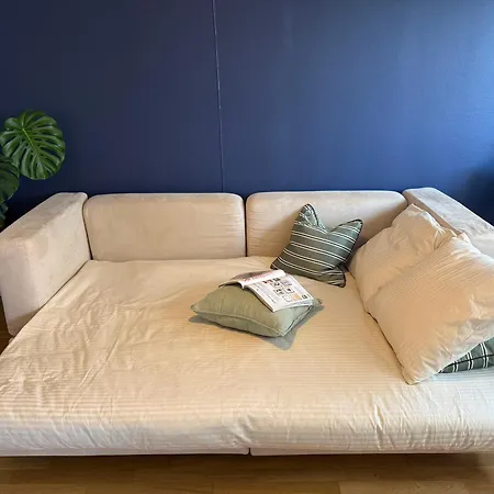Appartement Iii 135m2 Esplanade Strasbourg